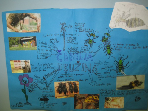 Srečanje z razpravo Svetovni dan čebel združuje in povezuje svet 7